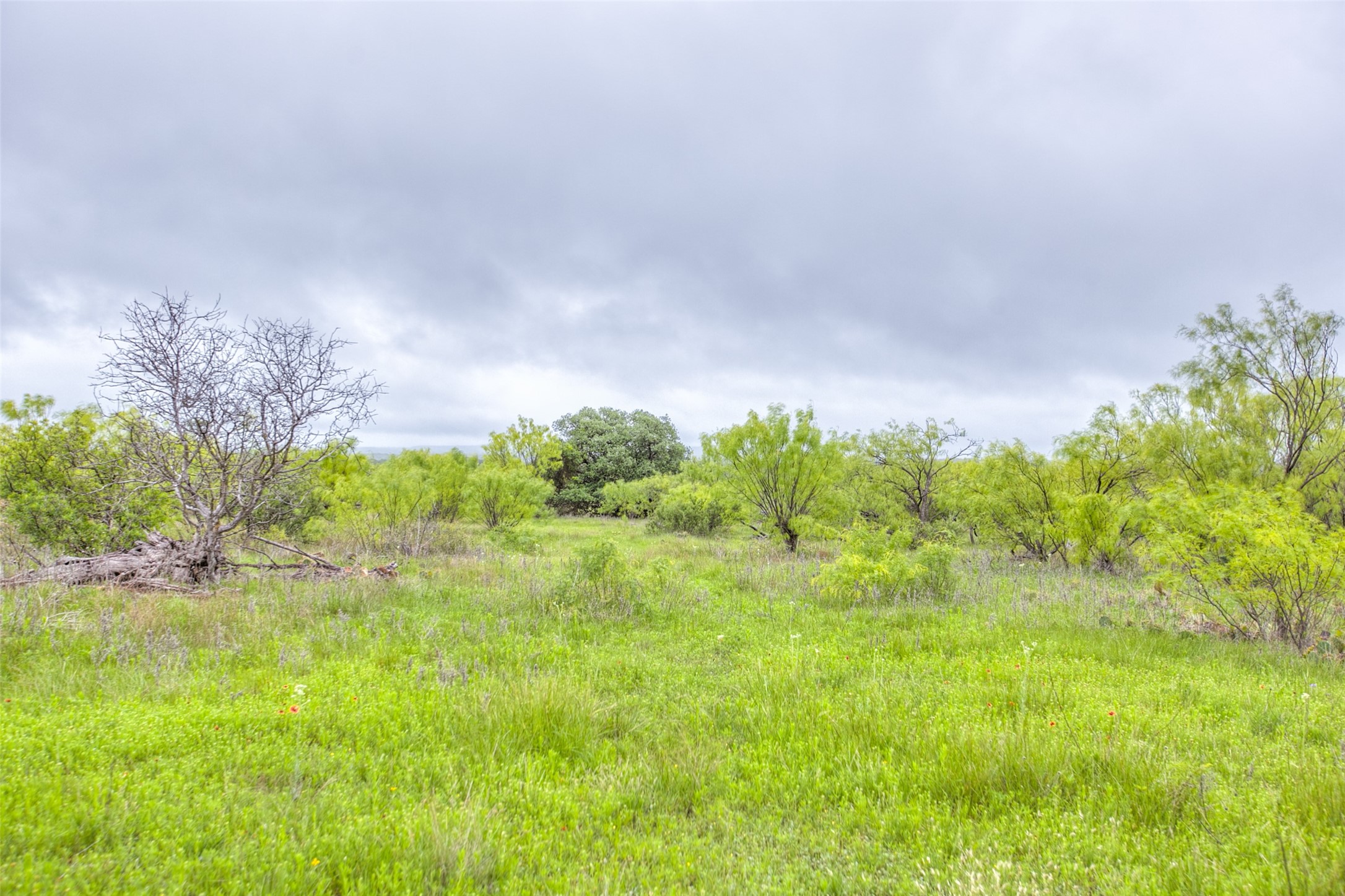 N/a Highway 36 Baird TX 79504