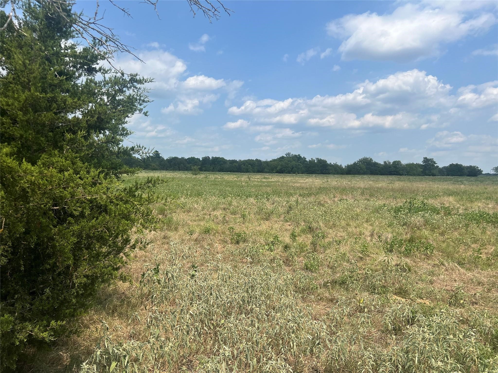 53+ Fm-513 Campbell TX 75422
