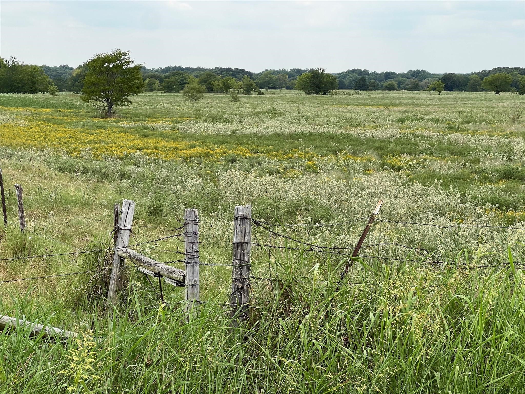 53+ Fm-513 Campbell TX 75422