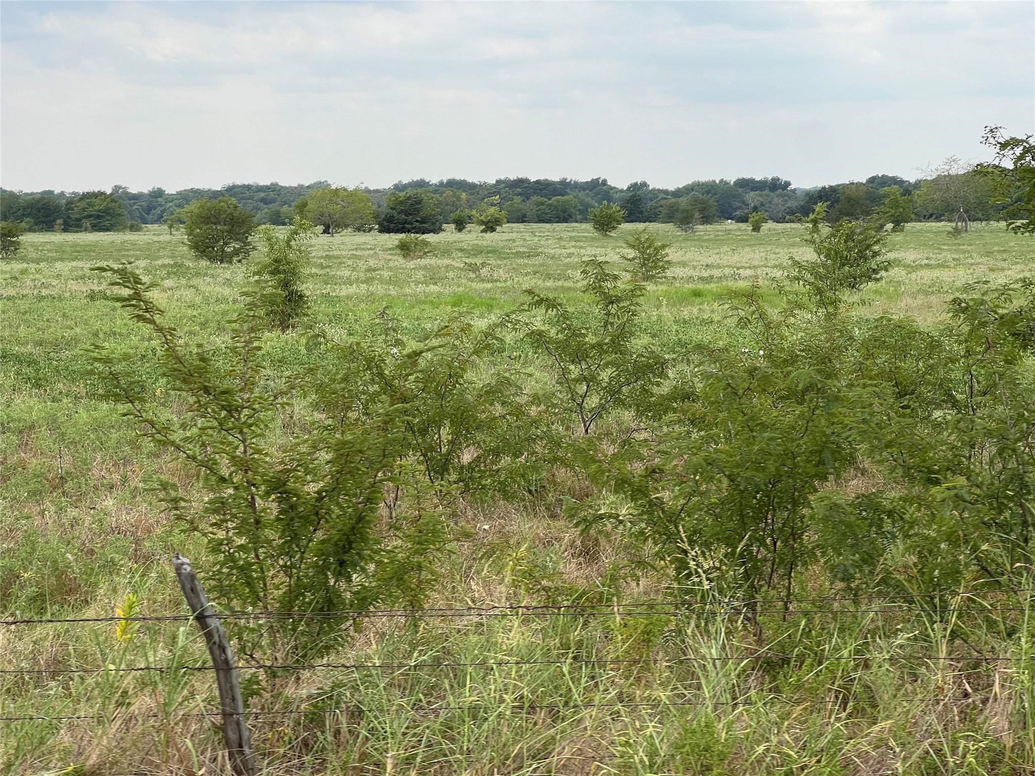 53+ Fm-513 Campbell TX 75422