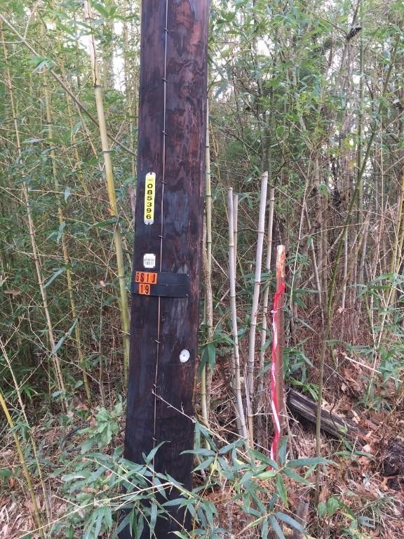 000 Forest Hill Drive Frankston TX 75763