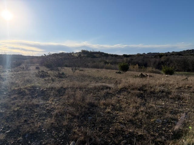 2220 Canyon Wren Loop Graford TX 76449