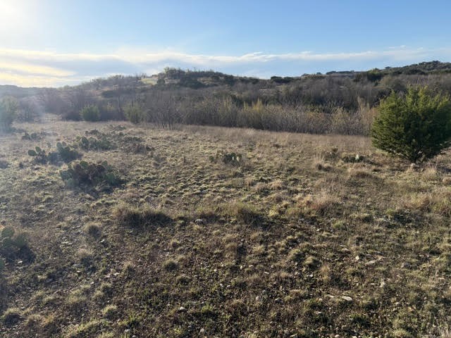 2220 Canyon Wren Loop Graford TX 76449