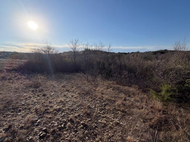 2220 Canyon Wren Loop Graford TX 76449