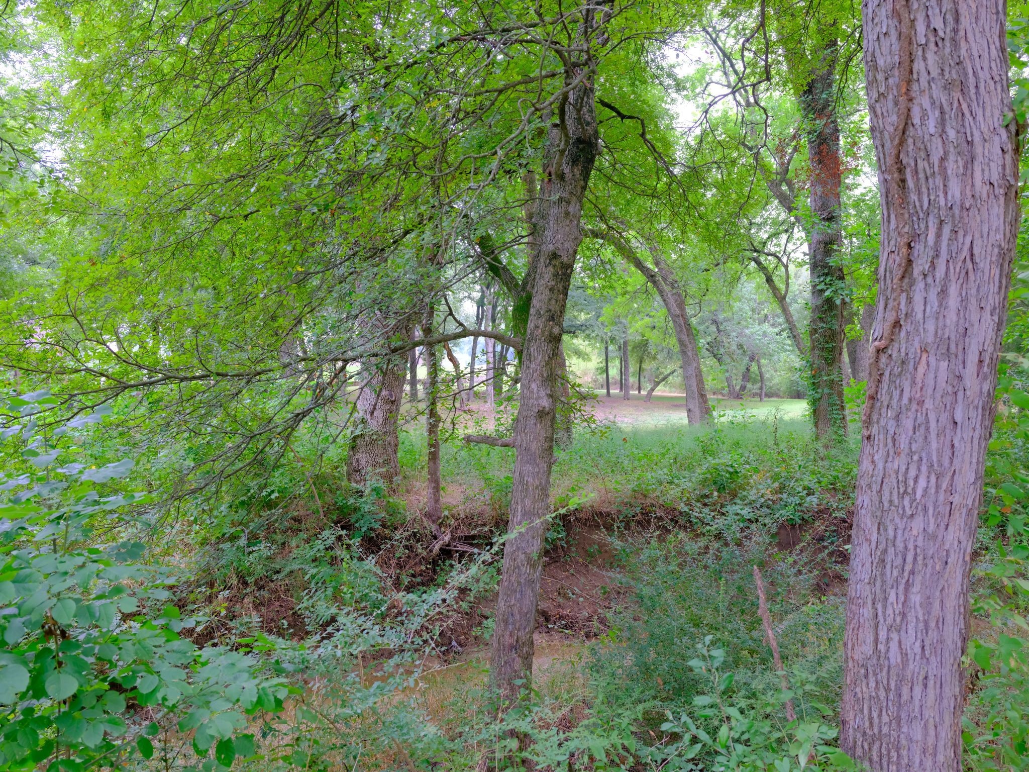 2414 Summer Brook Court Cedar Hill TX 75104