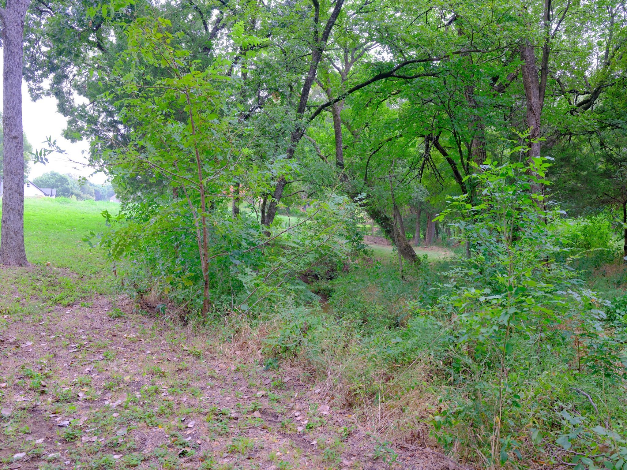 2414 Summer Brook Court Cedar Hill TX 75104