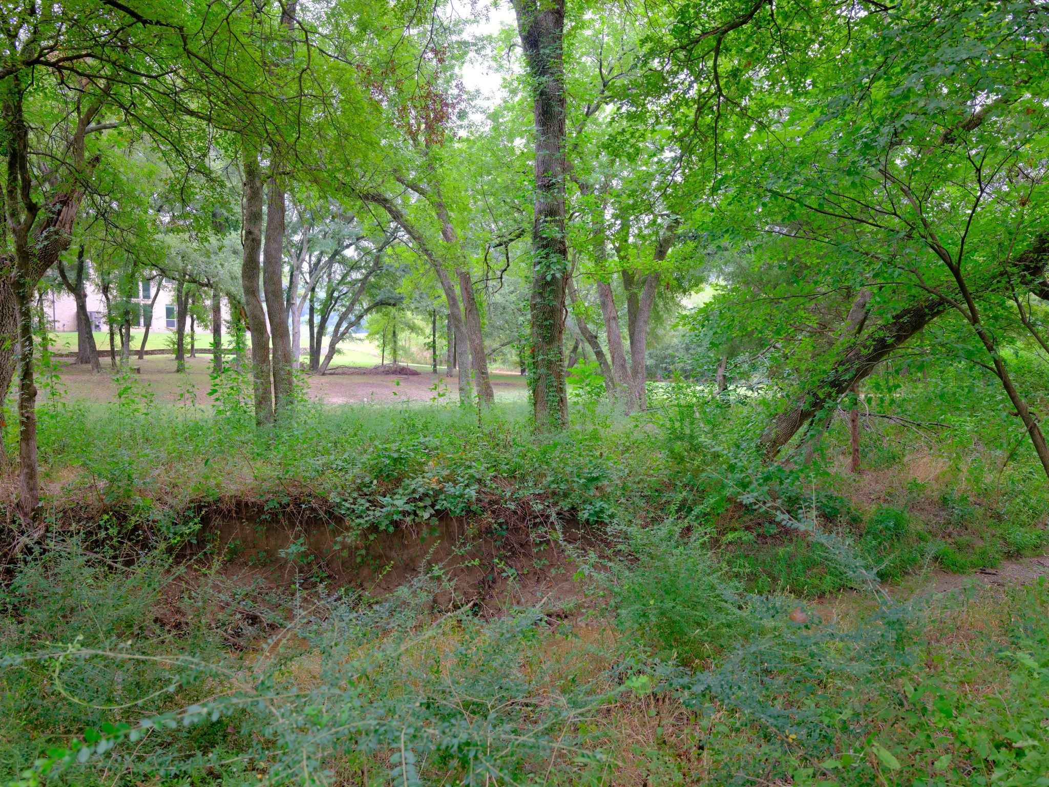2414 Summer Brook Court Cedar Hill TX 75104