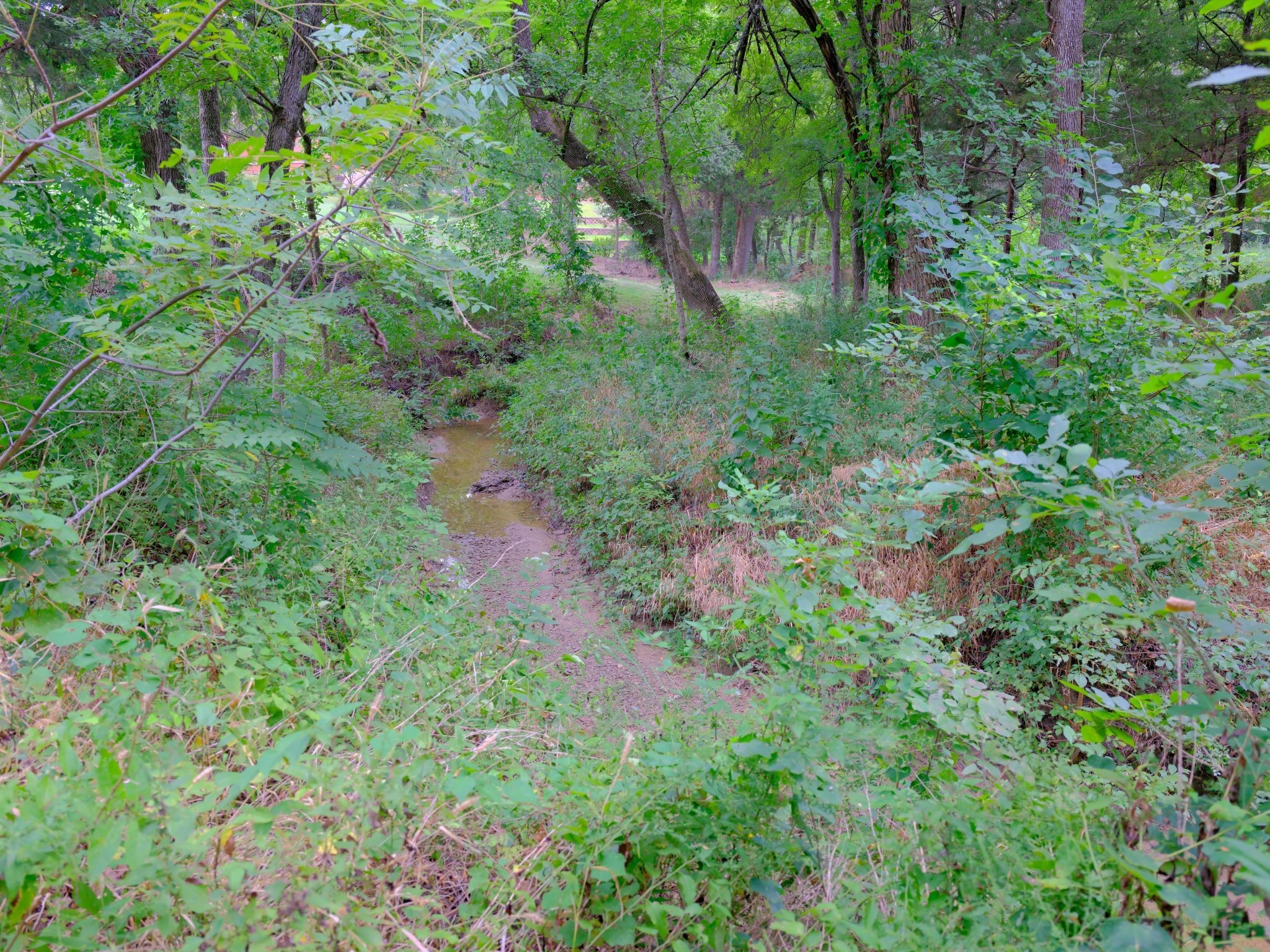 2414 Summer Brook Court Cedar Hill TX 75104