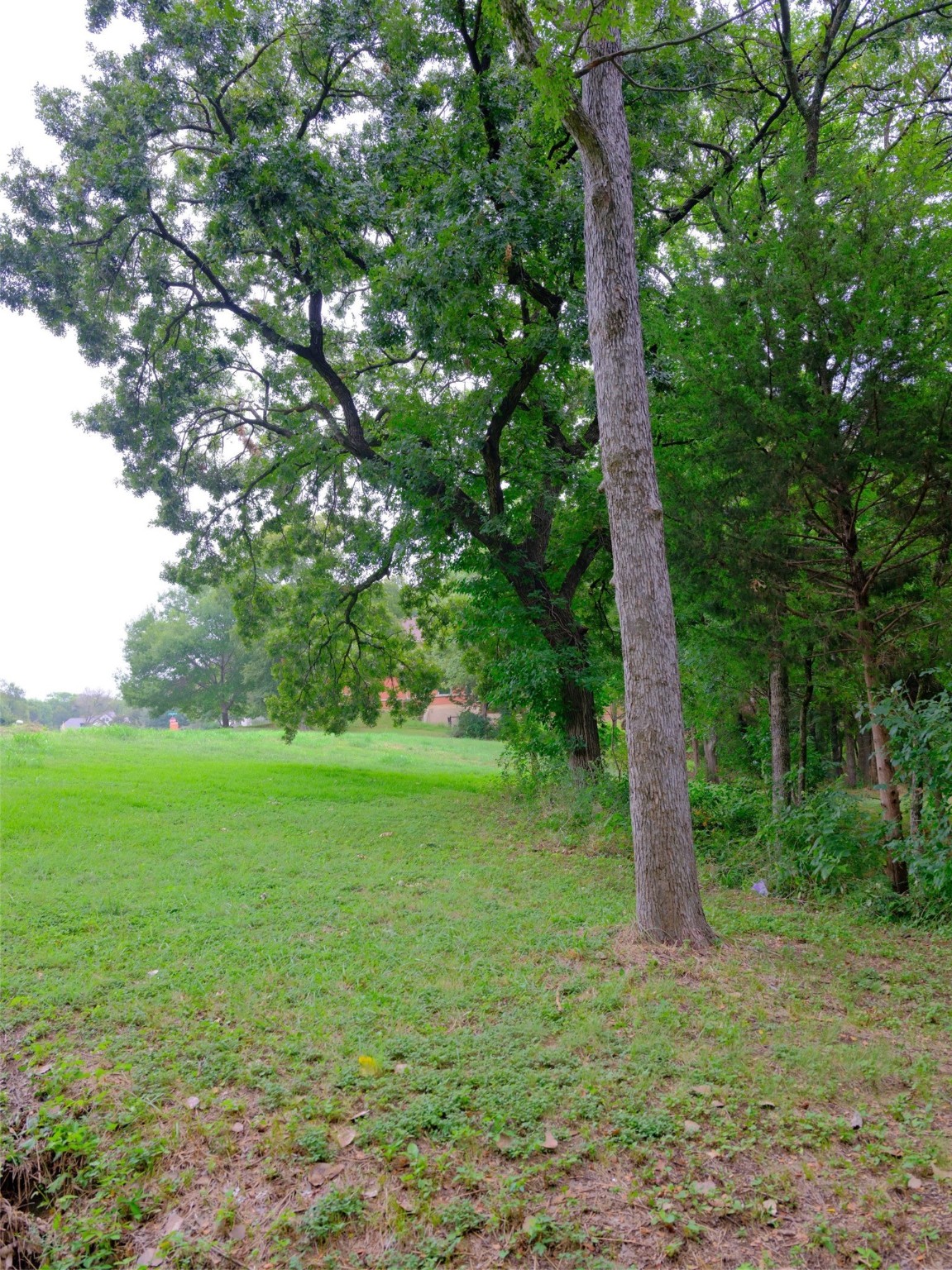 2414 Summer Brook Court Cedar Hill TX 75104