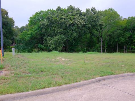 2414 Summer Brook Court Cedar Hill TX 75104