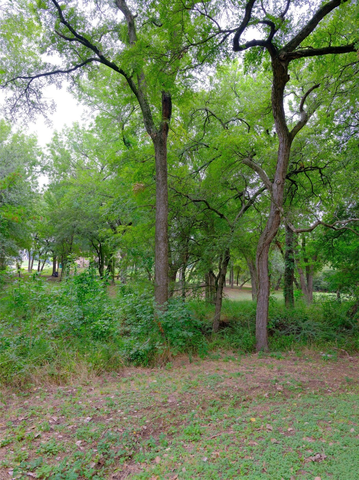 2414 Summer Brook Court Cedar Hill TX 75104
