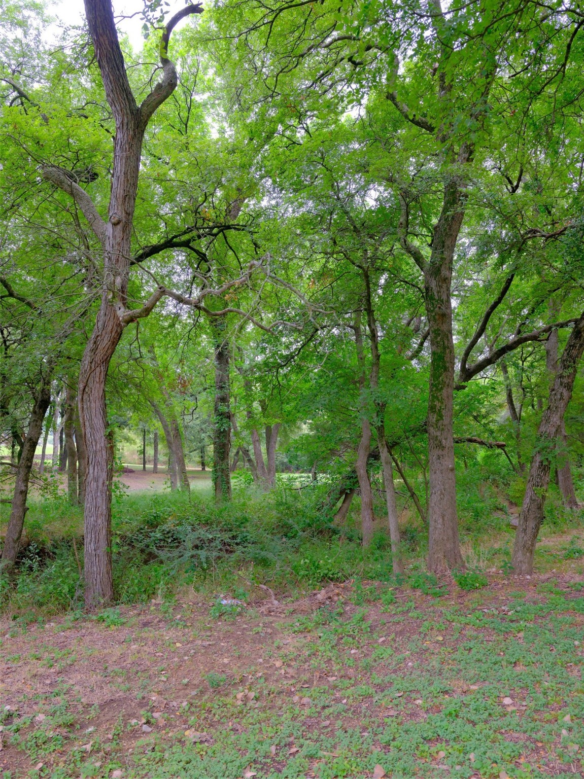 2414 Summer Brook Court Cedar Hill TX 75104