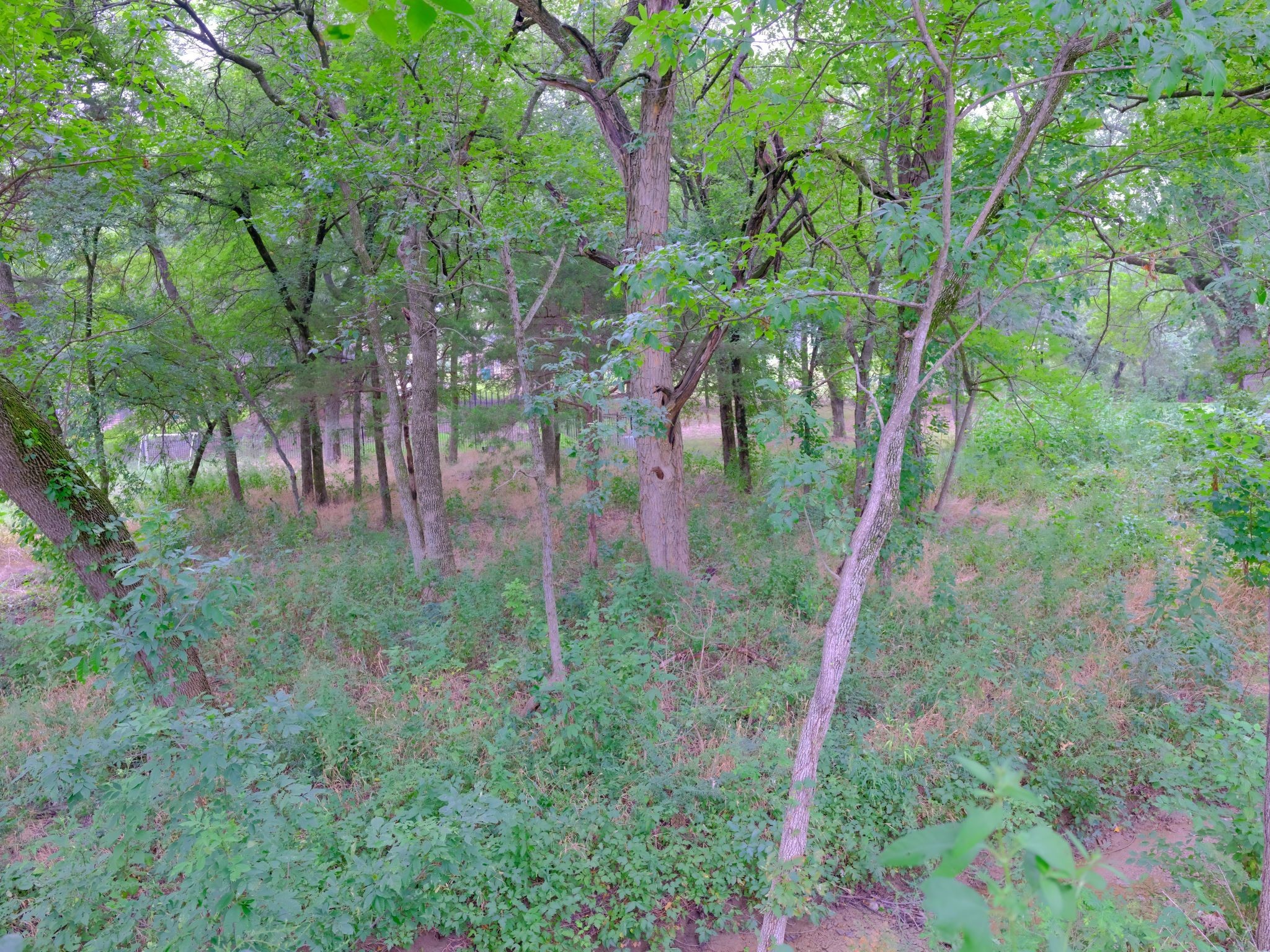 2414 Summer Brook Court Cedar Hill TX 75104