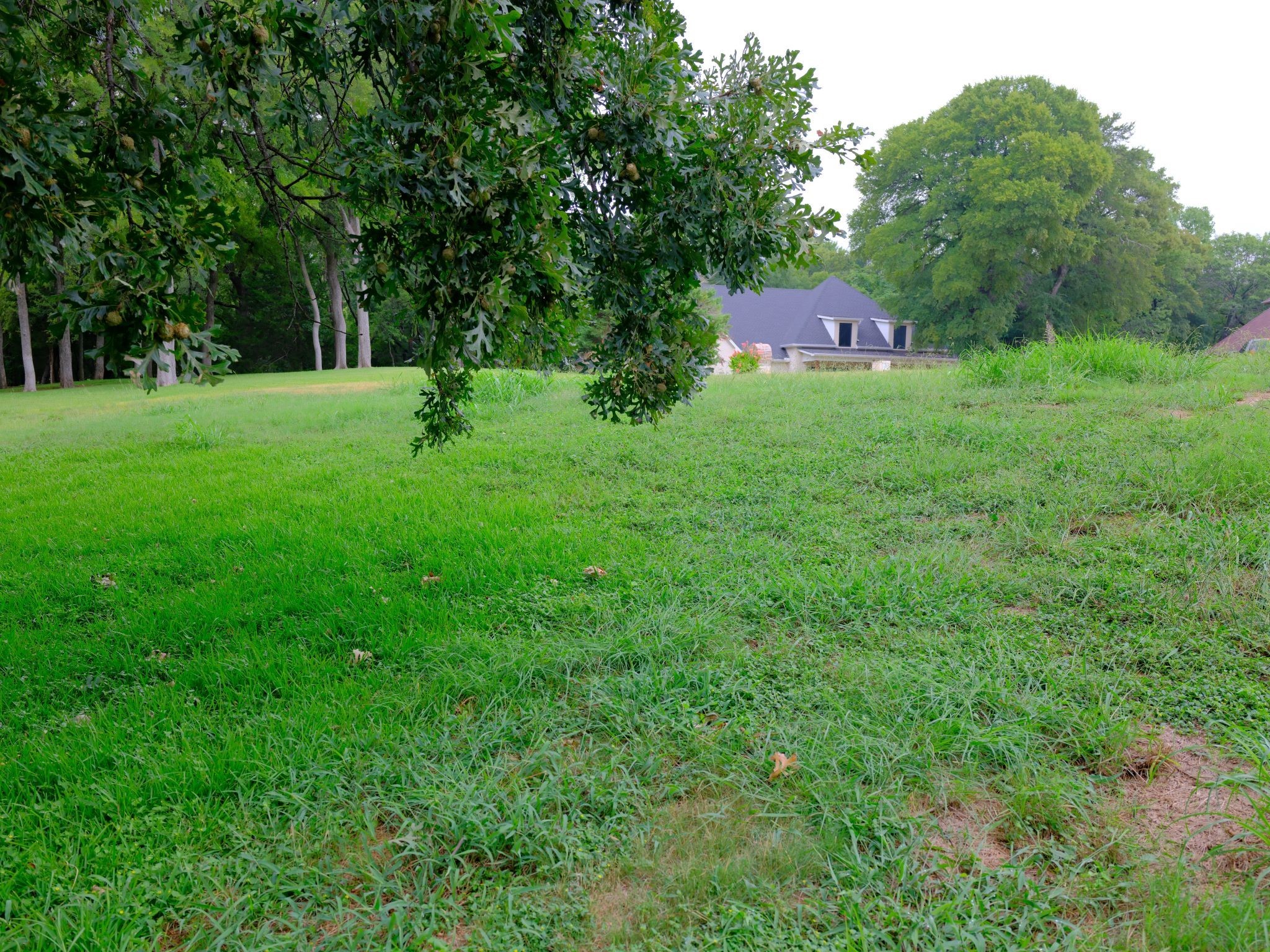 2414 Summer Brook Court Cedar Hill TX 75104