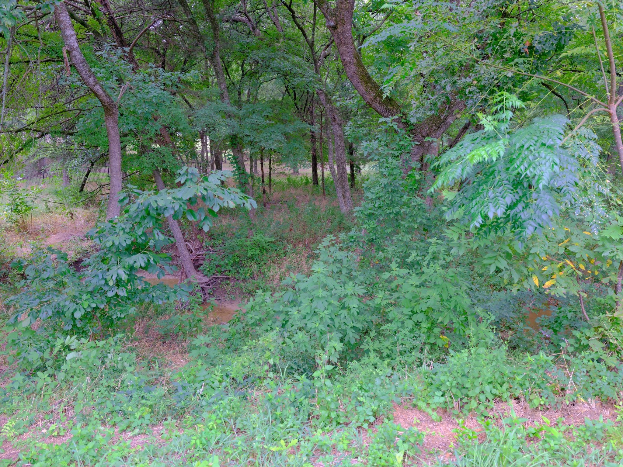 2414 Summer Brook Court Cedar Hill TX 75104