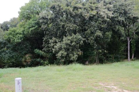 2414 Summer Brook Court Cedar Hill TX 75104