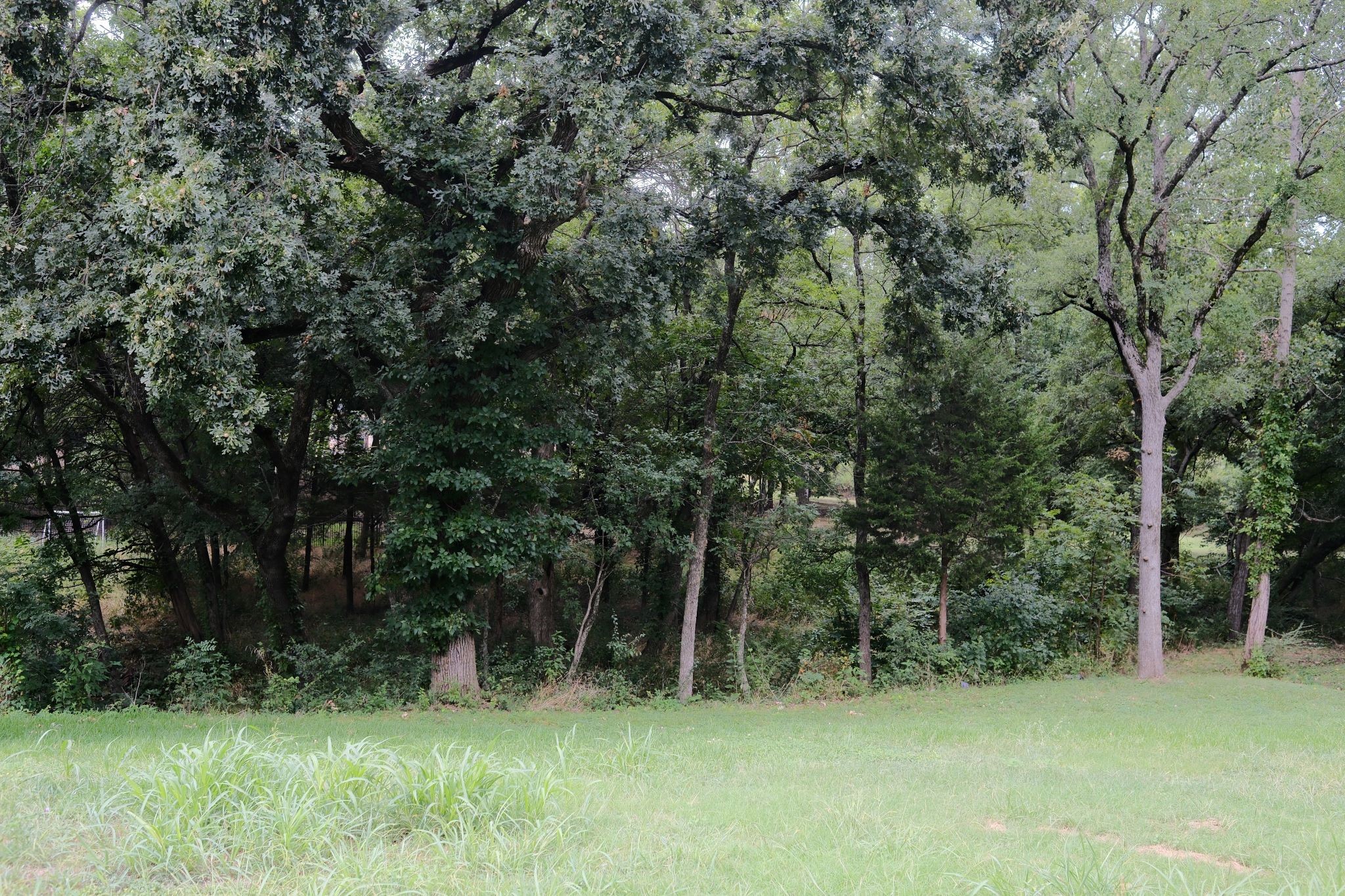 2414 Summer Brook Court Cedar Hill TX 75104