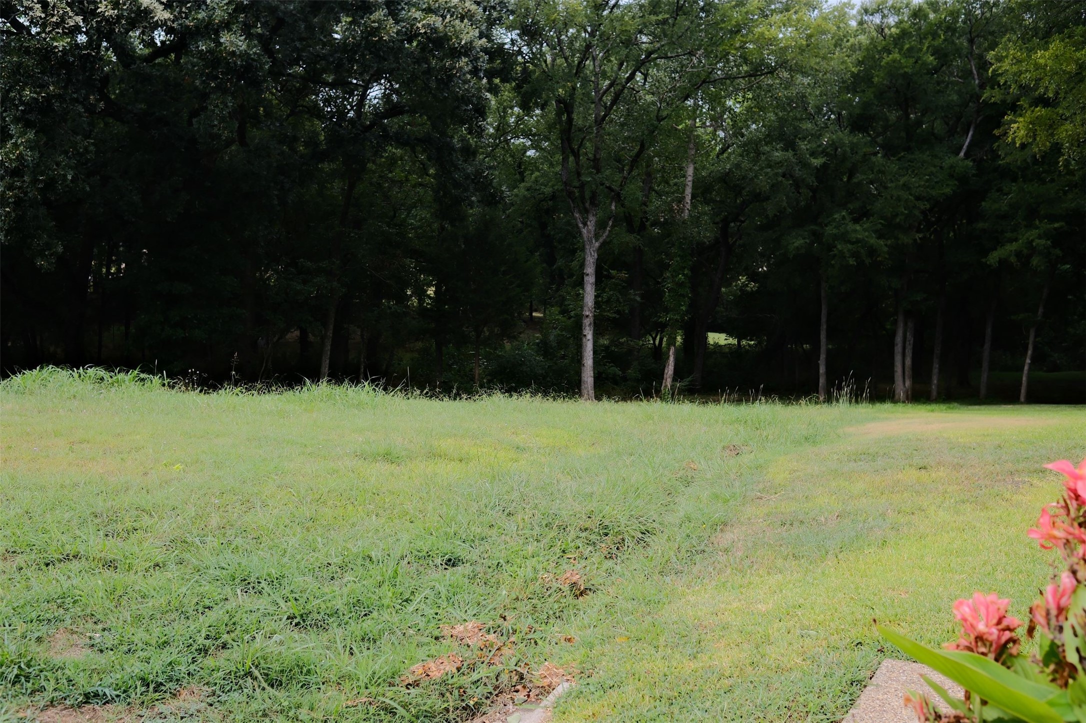 2414 Summer Brook Court Cedar Hill TX 75104