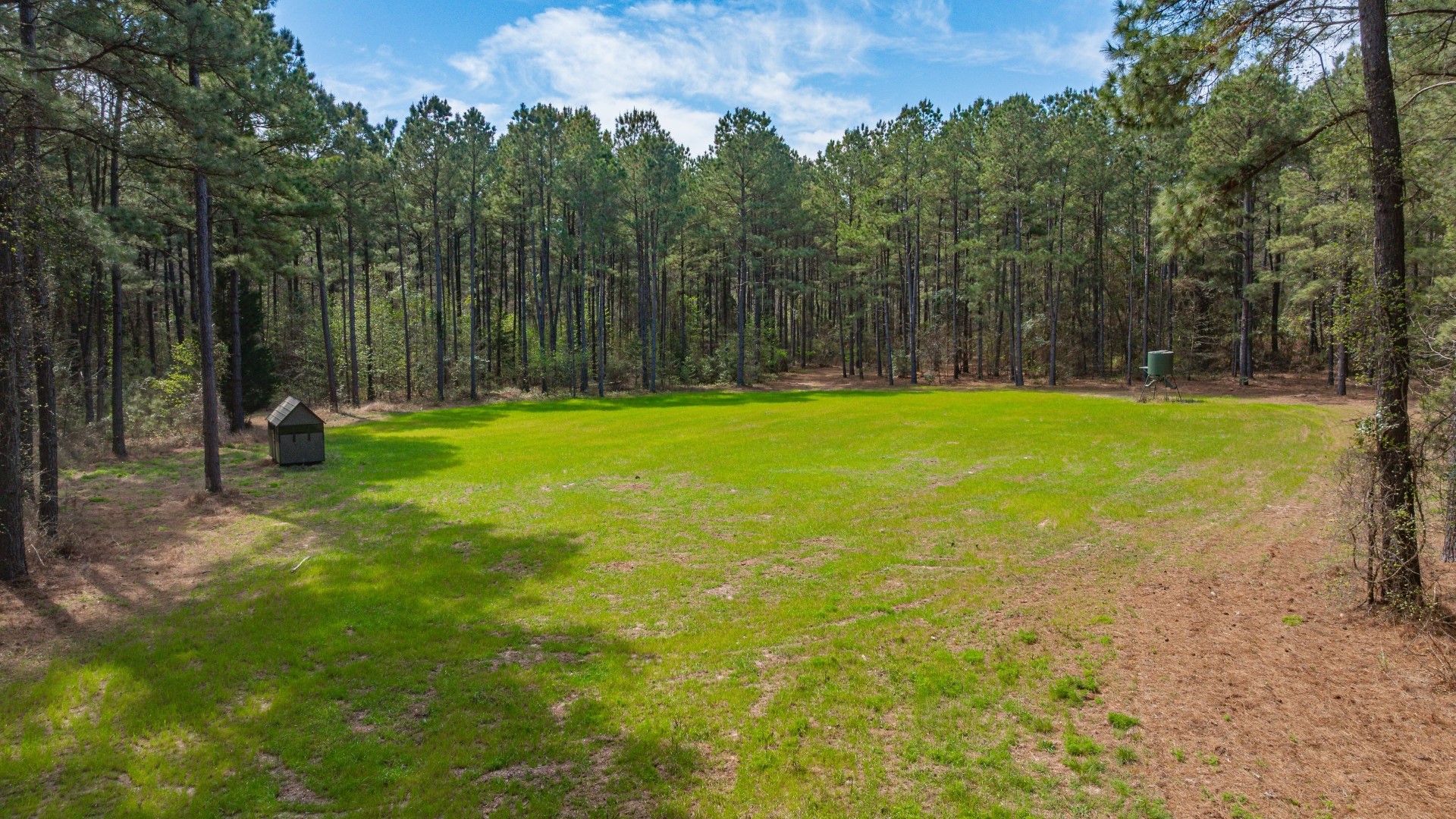 3400 Cr 1240 Linden TX 75563