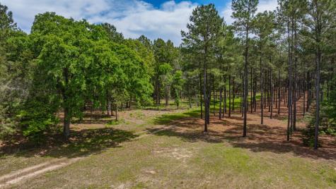 3400 Cr 1240 Linden TX 75563