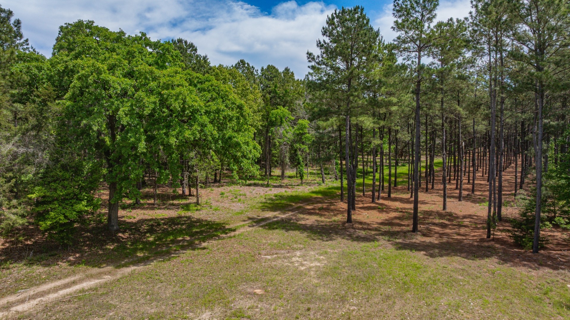 3400 Cr 1240 Linden TX 75563