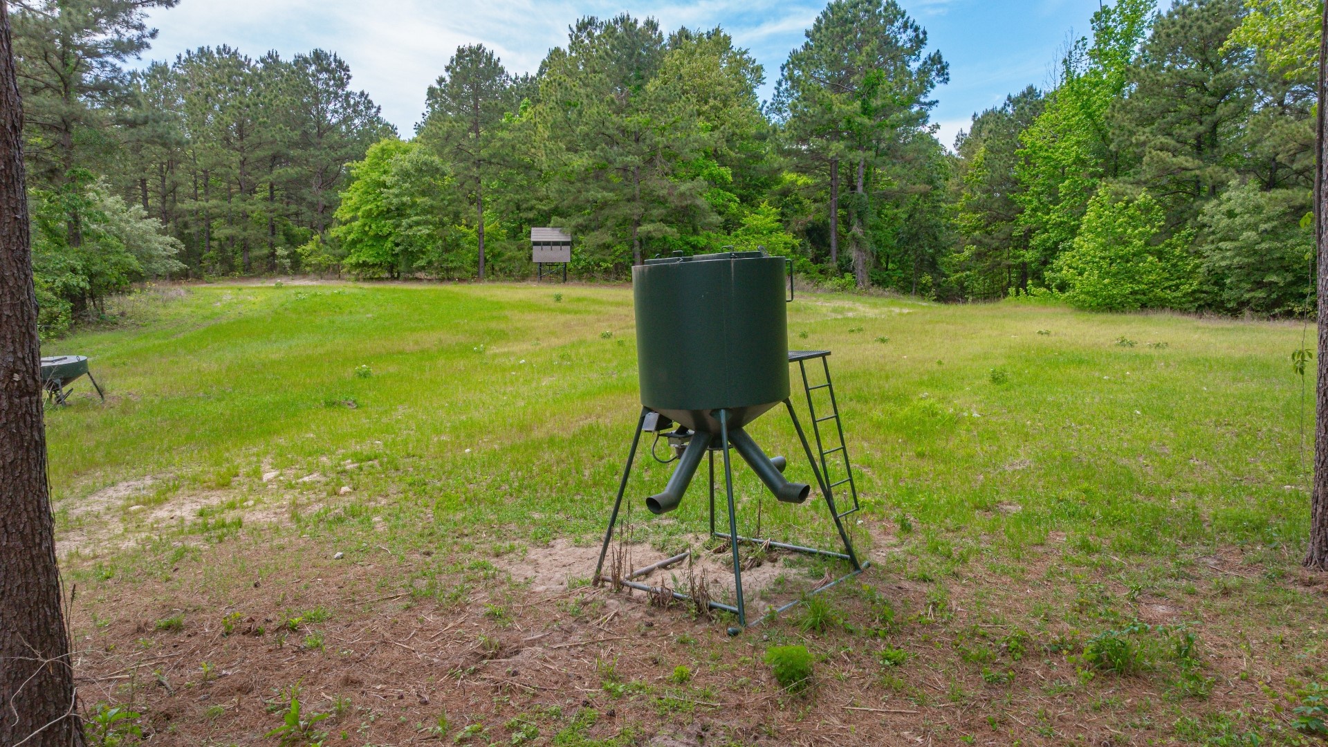 3400 Cr 1240 Linden TX 75563