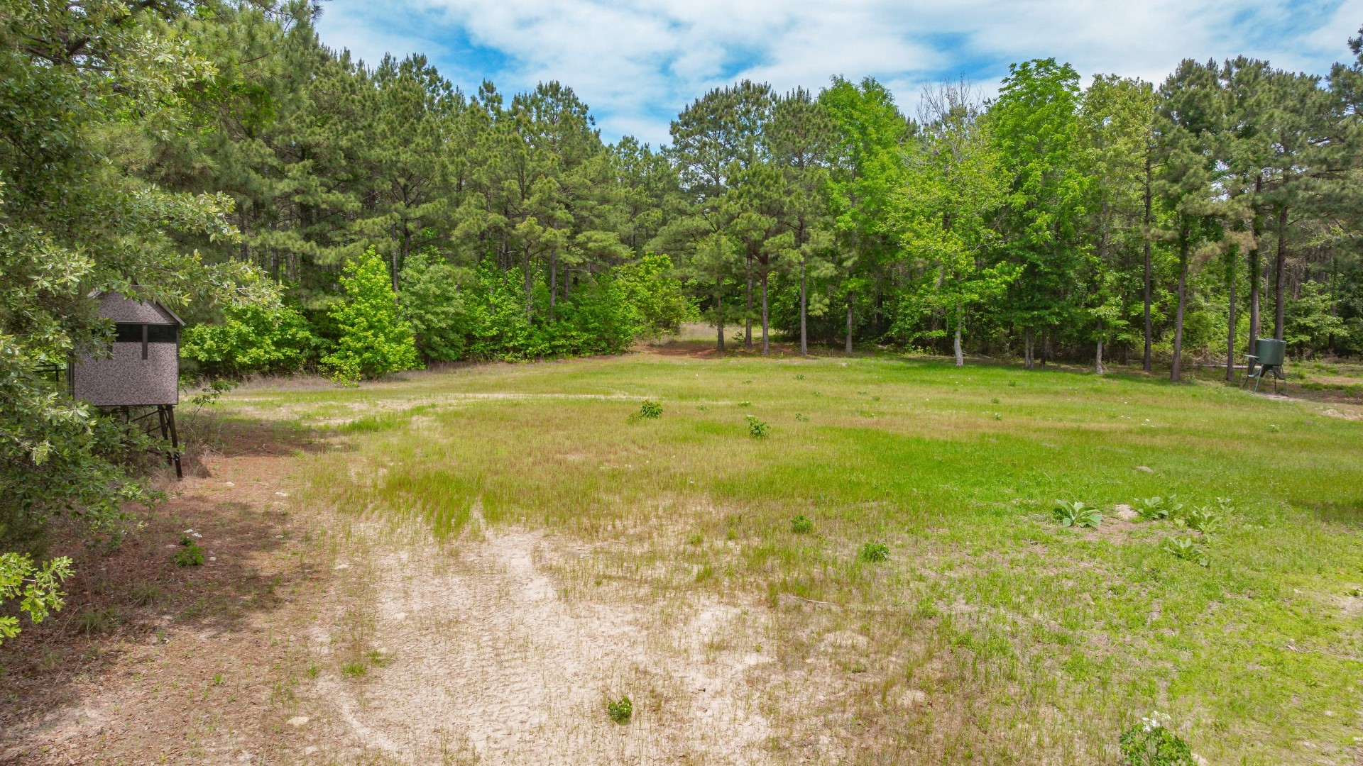 3400 Cr 1240 Linden TX 75563