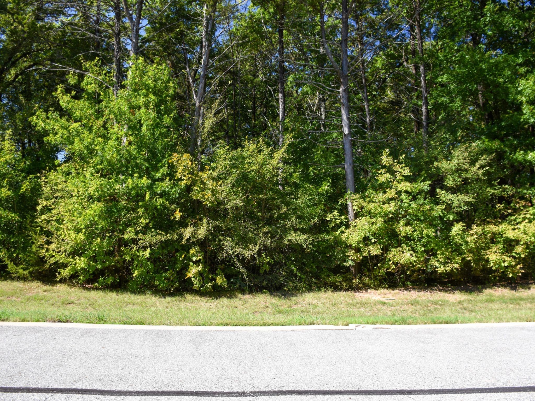 Tbd Annadale Lane Gordonville TX 76245
