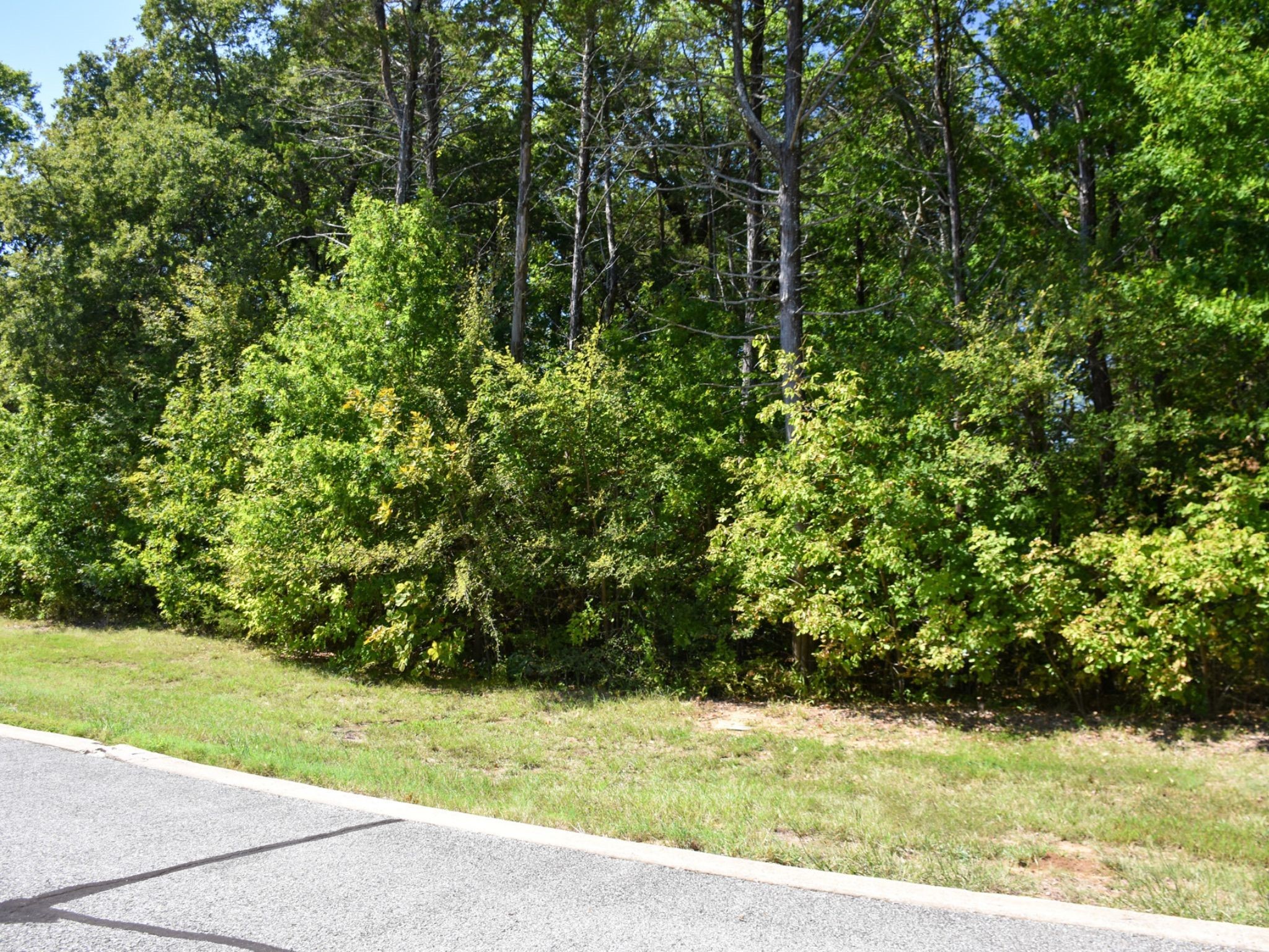 Tbd Annadale Lane Gordonville TX 76245