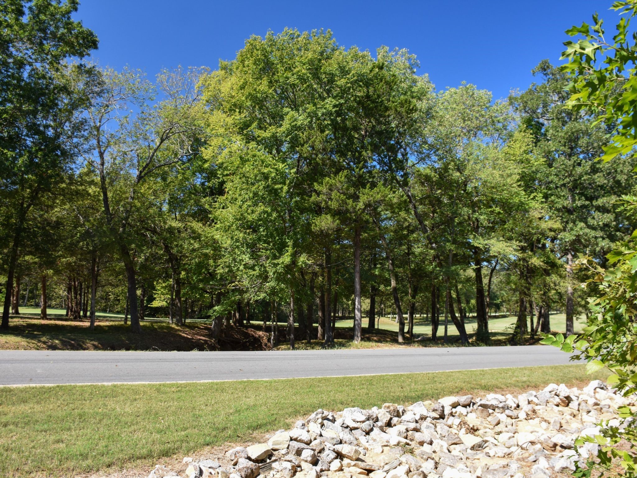 Tbd Annadale Lane Gordonville TX 76245