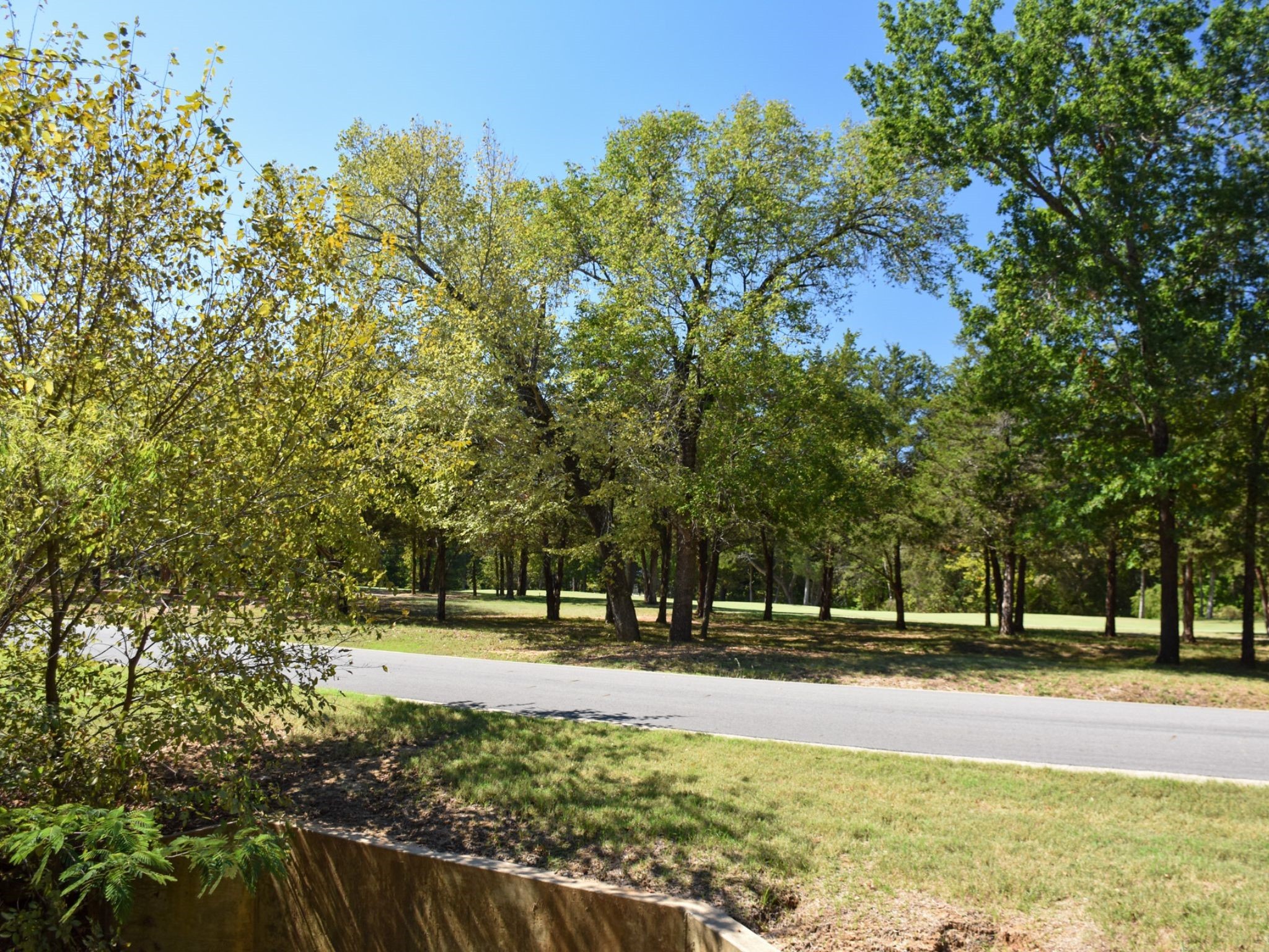 Tbd Annadale Lane Gordonville TX 76245