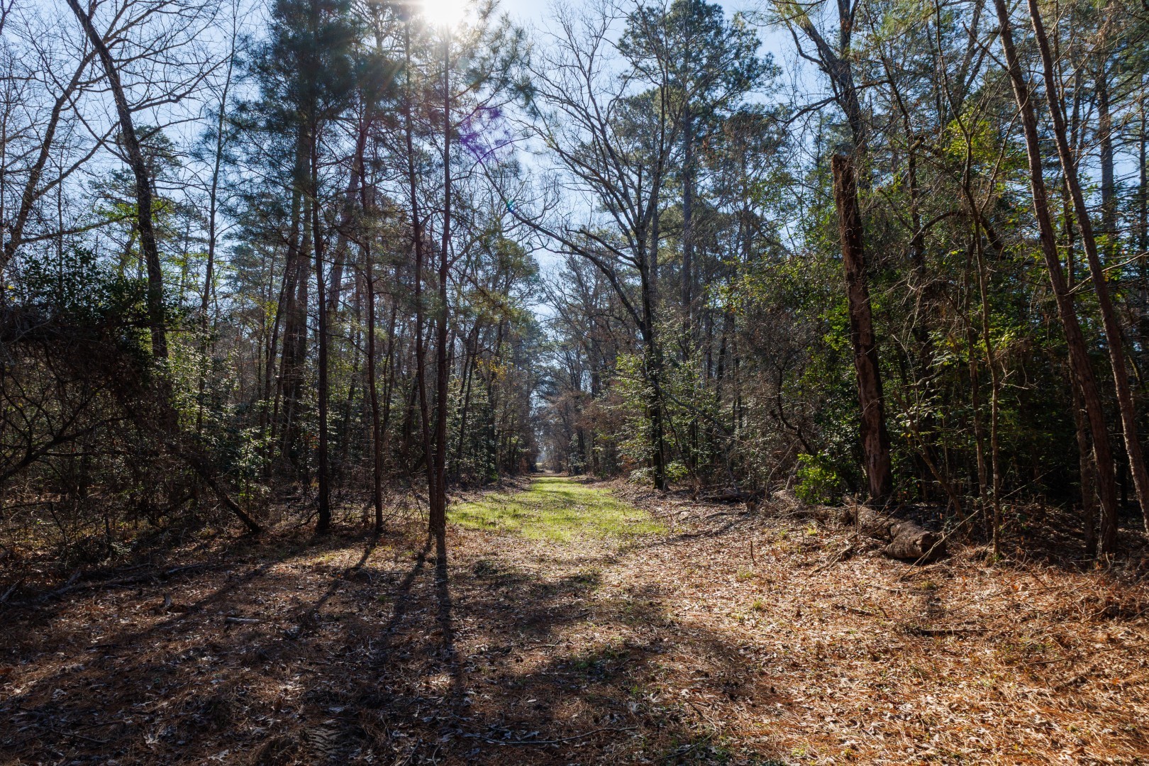 Tbd Highway 59 Marshall TX 75672