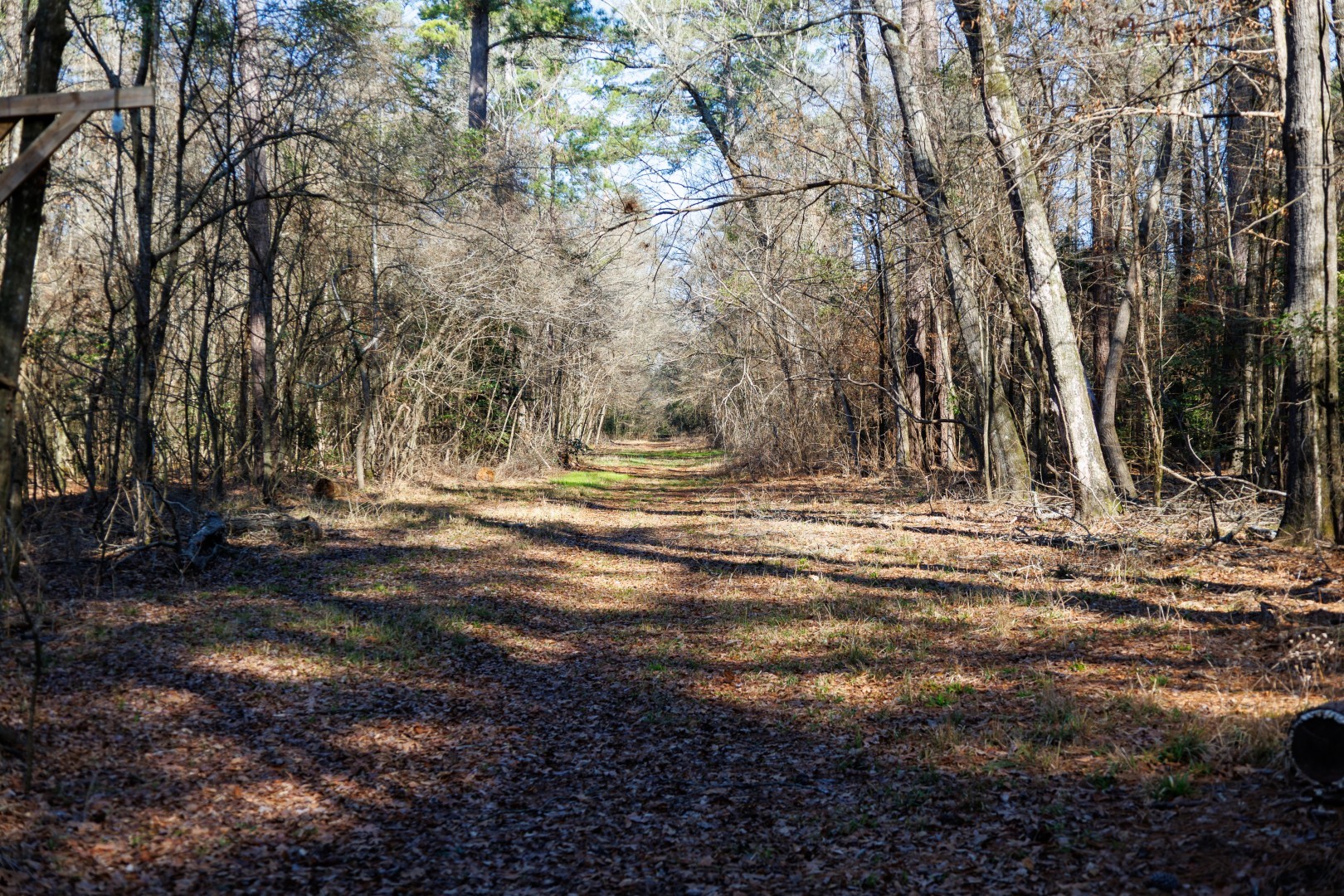 Tbd Highway 59 Marshall TX 75672