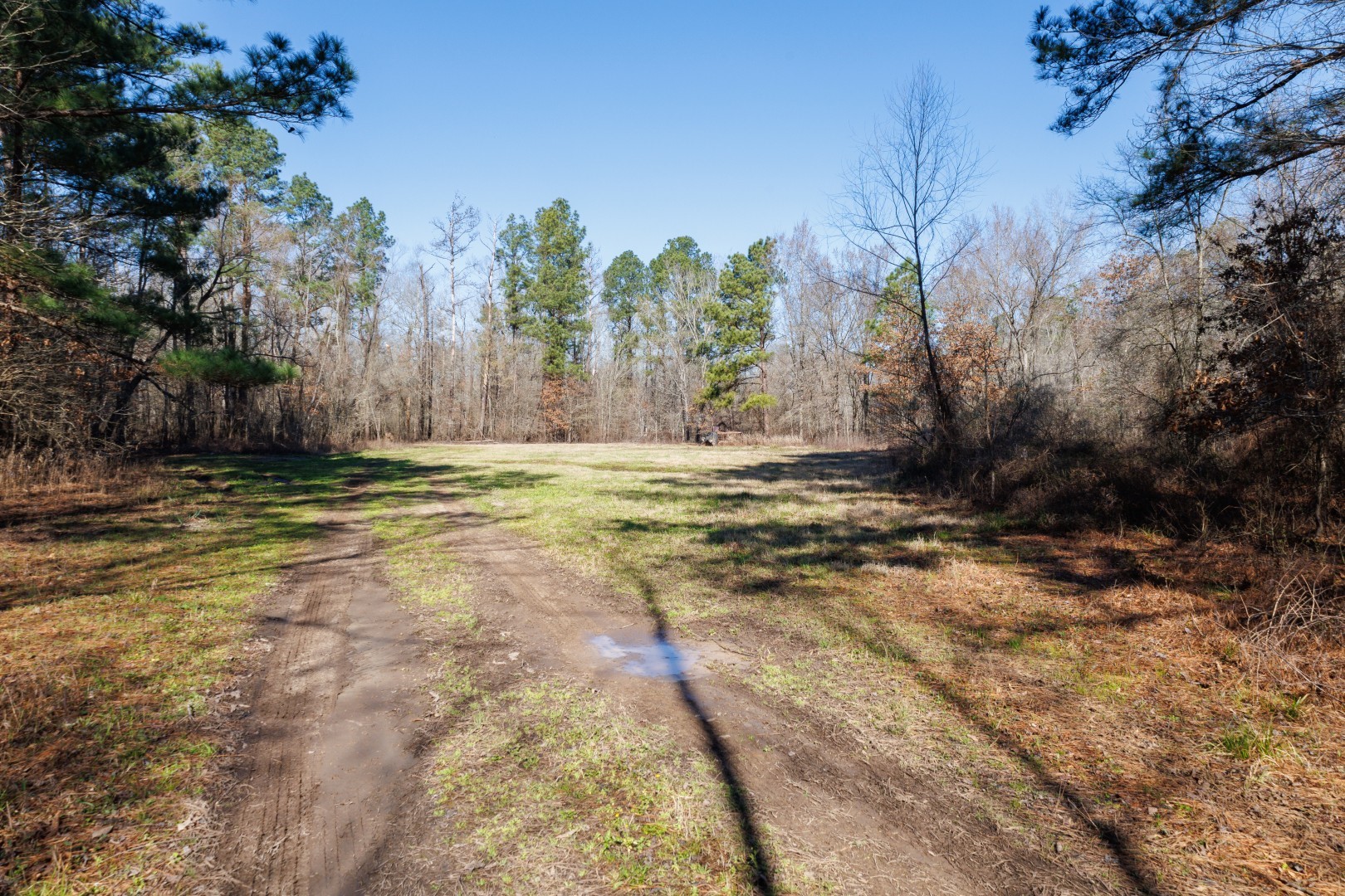 Tbd Highway 59 Marshall TX 75672