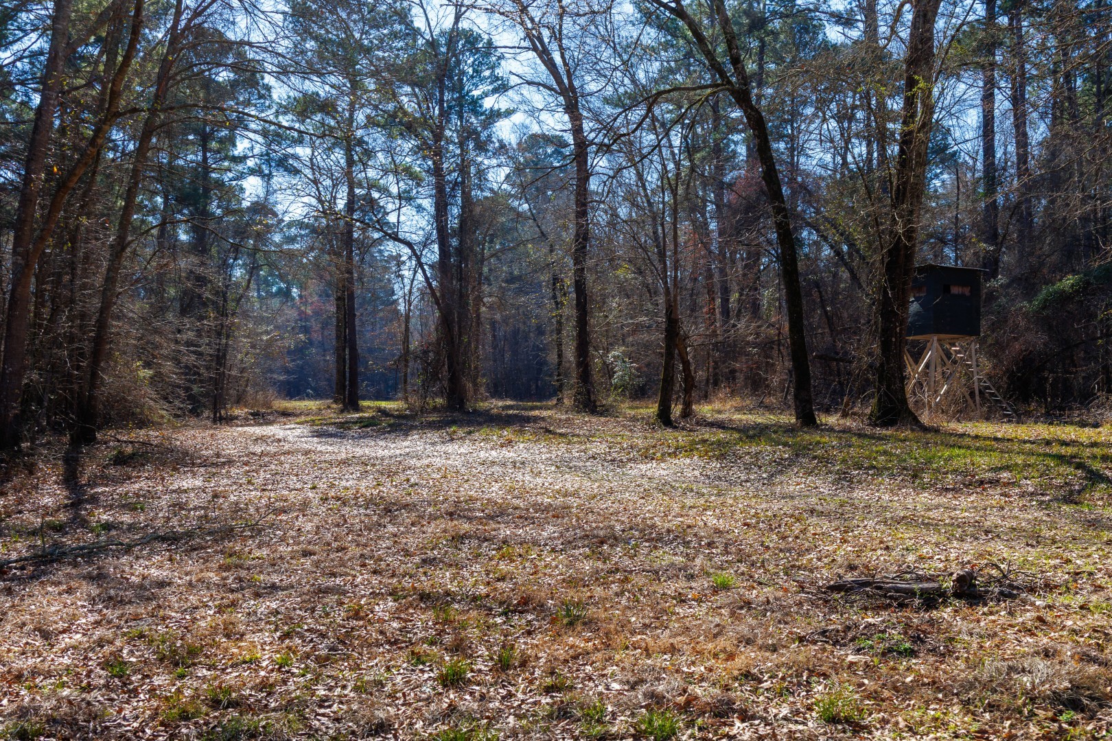 Tbd Highway 59 Marshall TX 75672