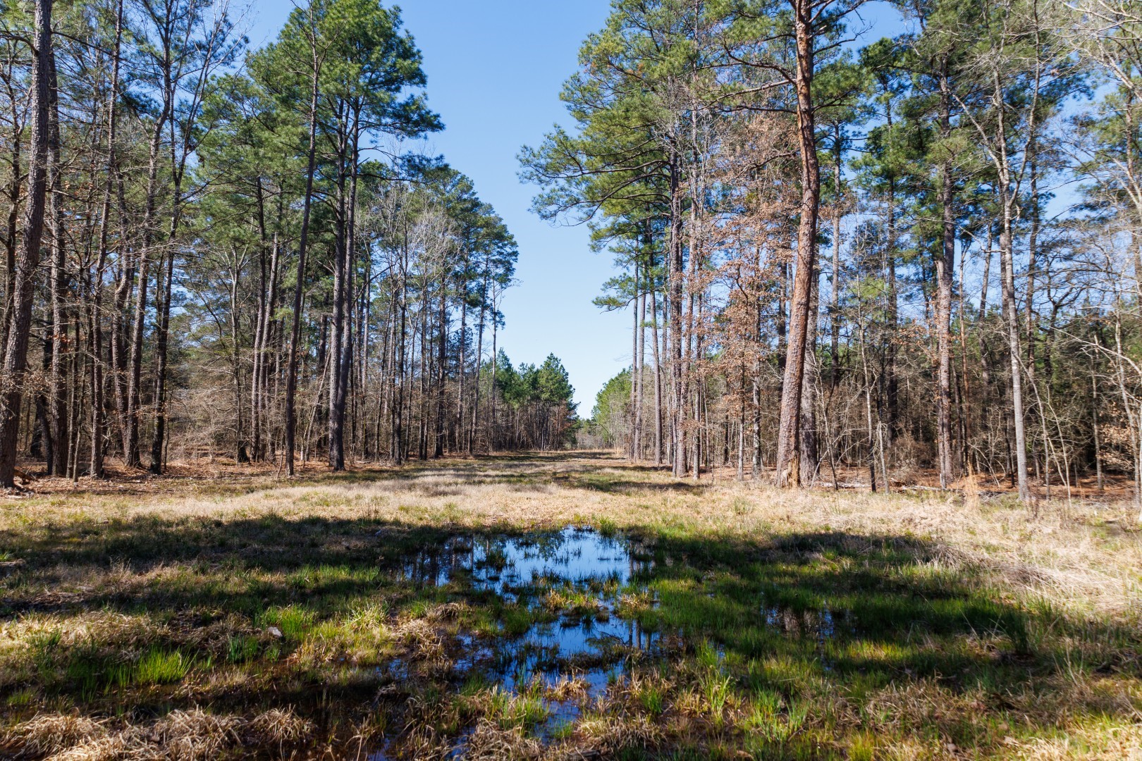 Tbd Highway 59 Marshall TX 75672