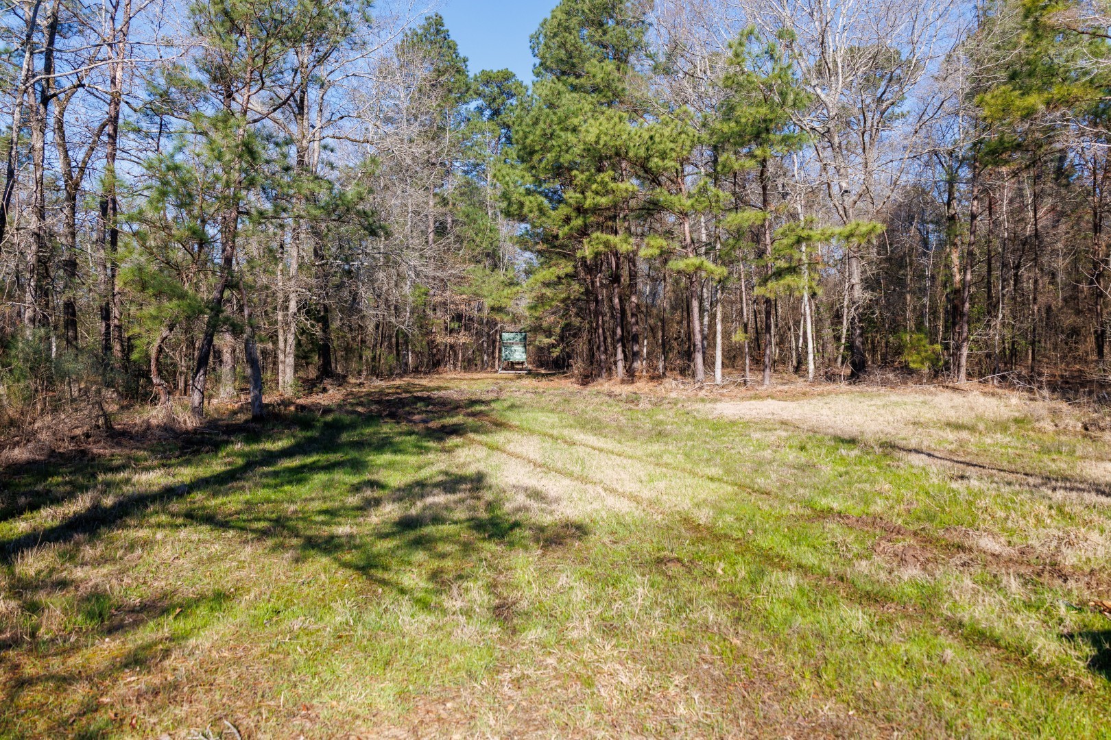 Tbd Highway 59 Marshall TX 75672