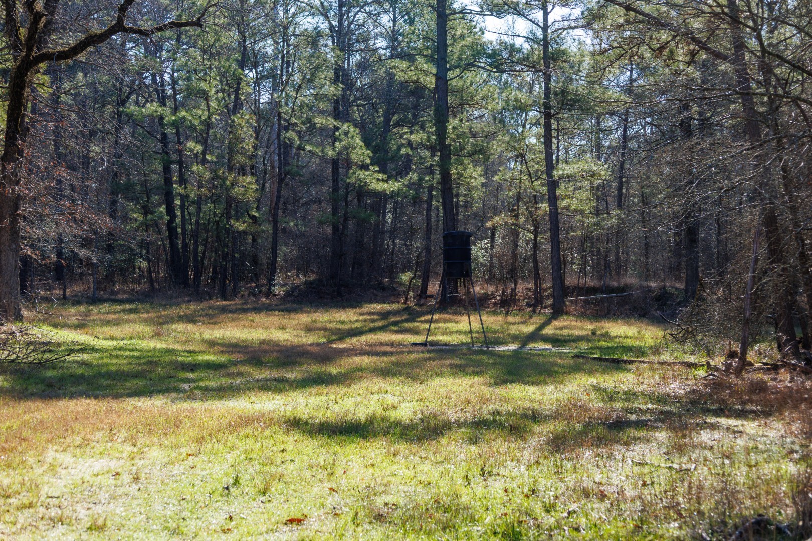 Tbd Highway 59 Marshall TX 75672