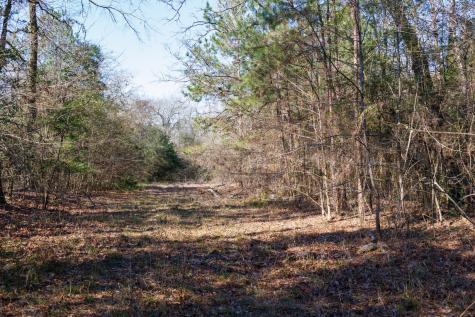 Tbd Highway 59 Marshall TX 75672