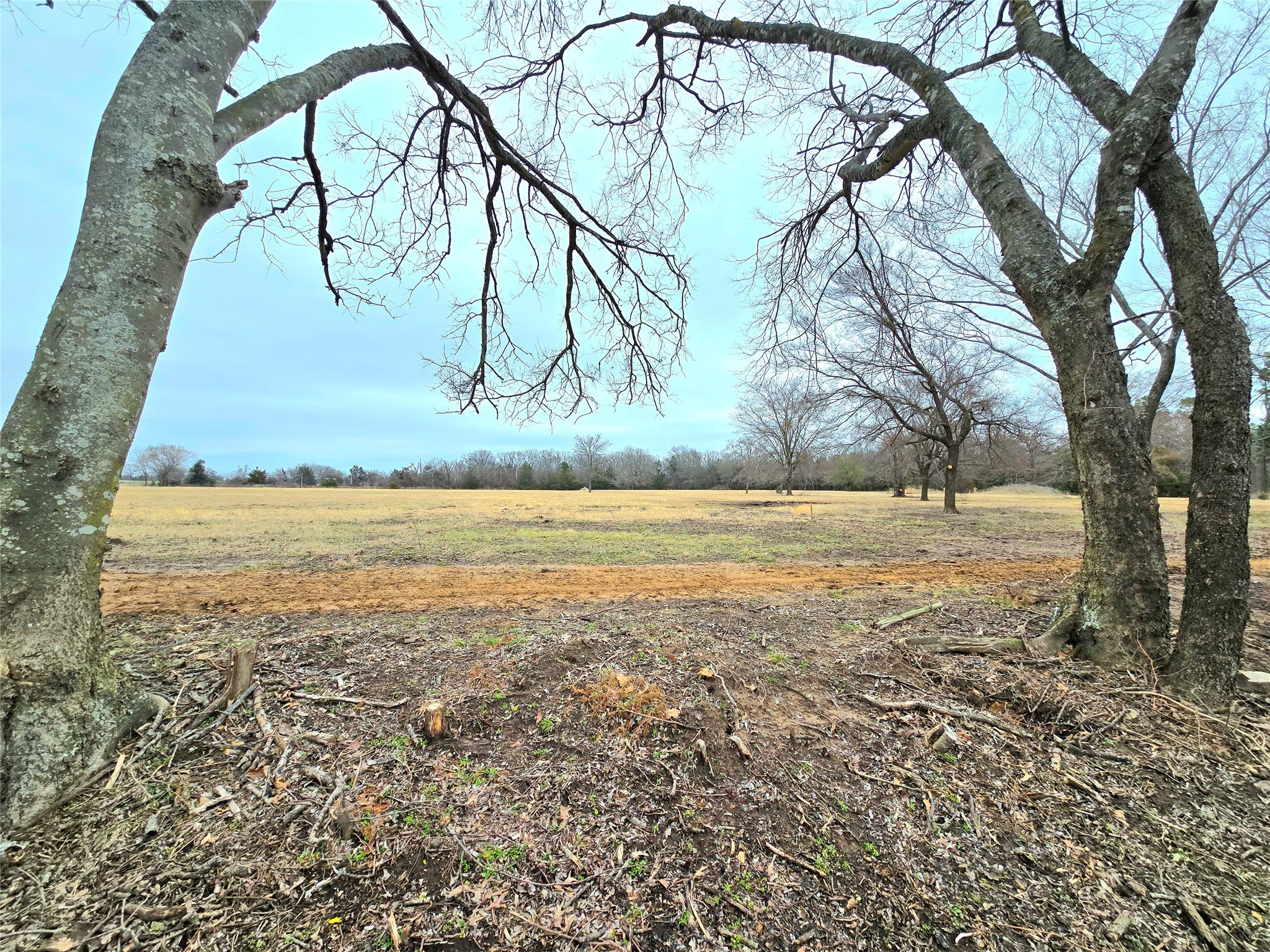 Tbd Lot 4 Cr 2245 Emory TX 75440