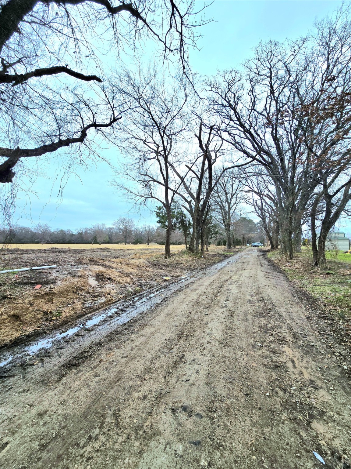 Tbd Lot 4 Cr 2245 Emory TX 75440