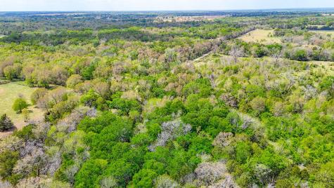 206 Fcr 960 Wortham TX 76693