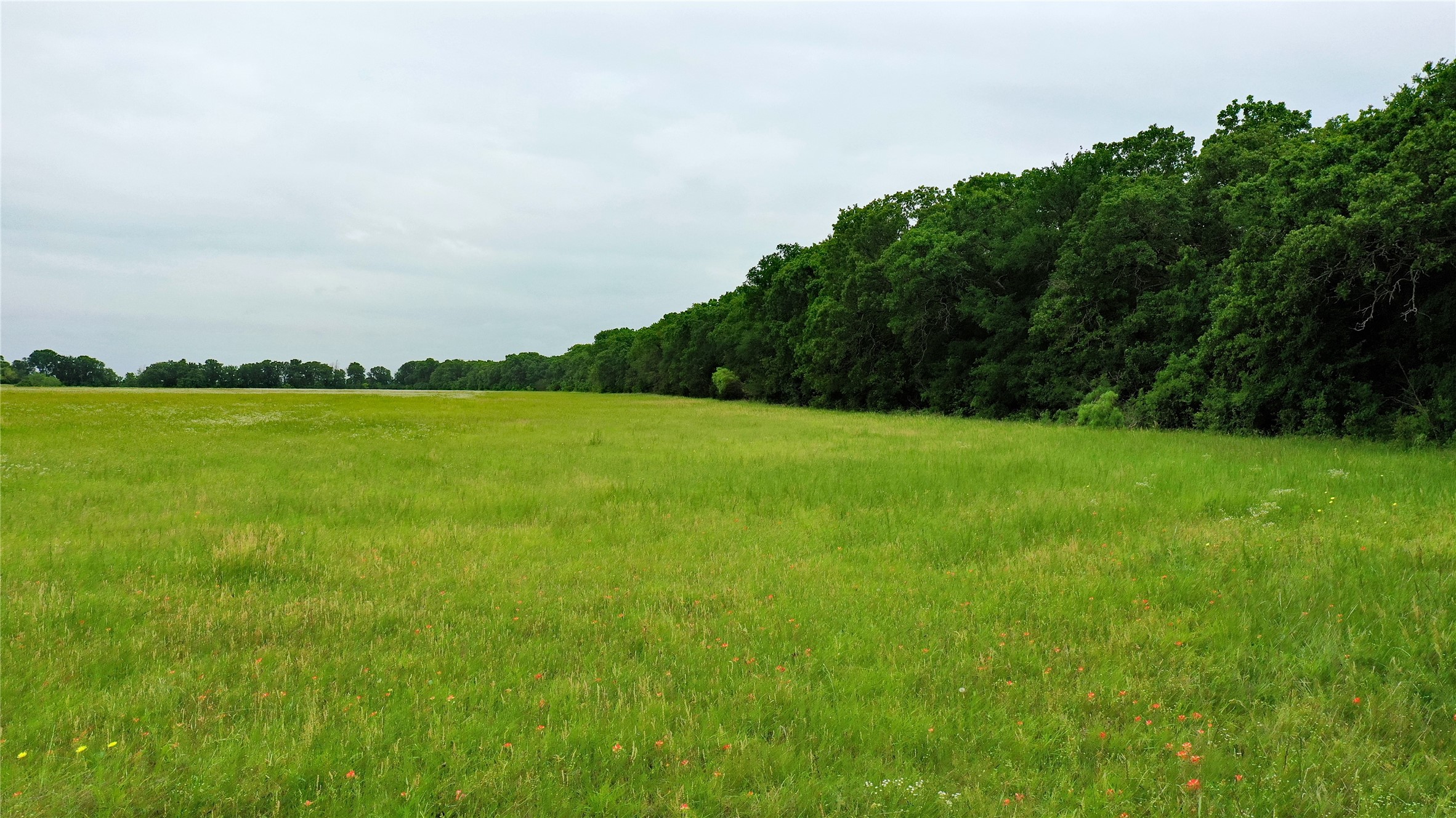 Tbd County Road 1242 Cleburne TX 76033
