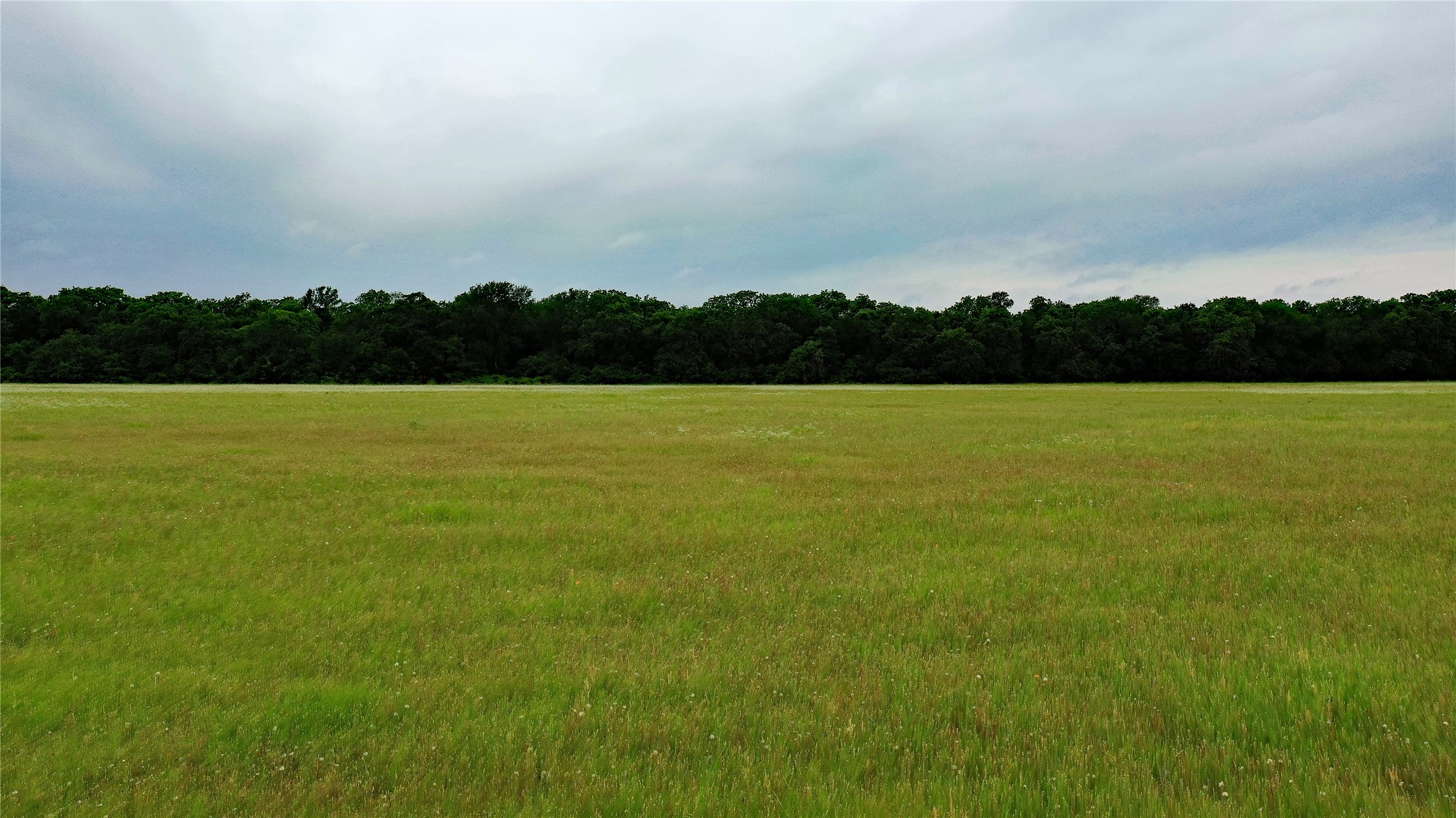 Tbd County Road 1242 Cleburne TX 76033
