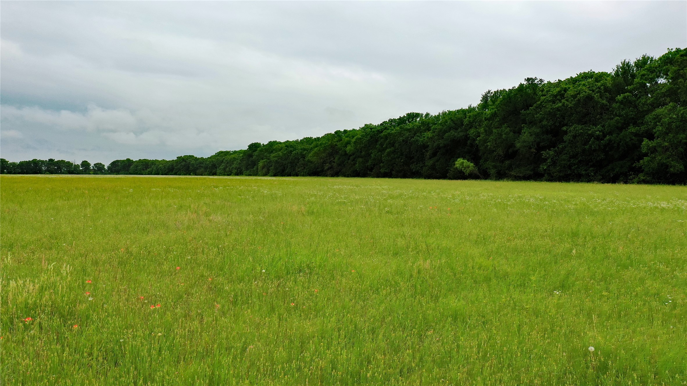 Tbd County Road 1242 Cleburne TX 76033