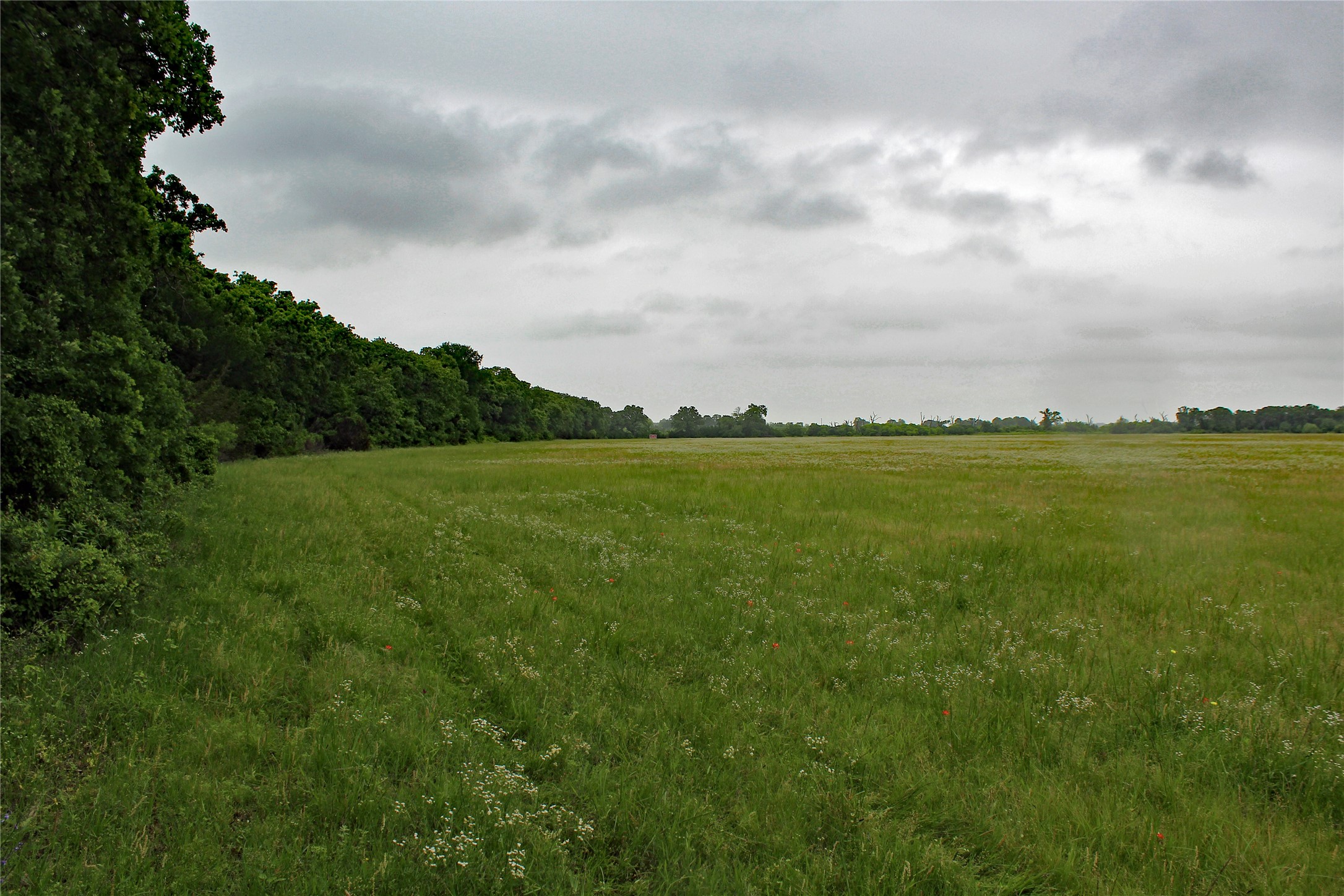 Tbd County Road 1242 Cleburne TX 76033