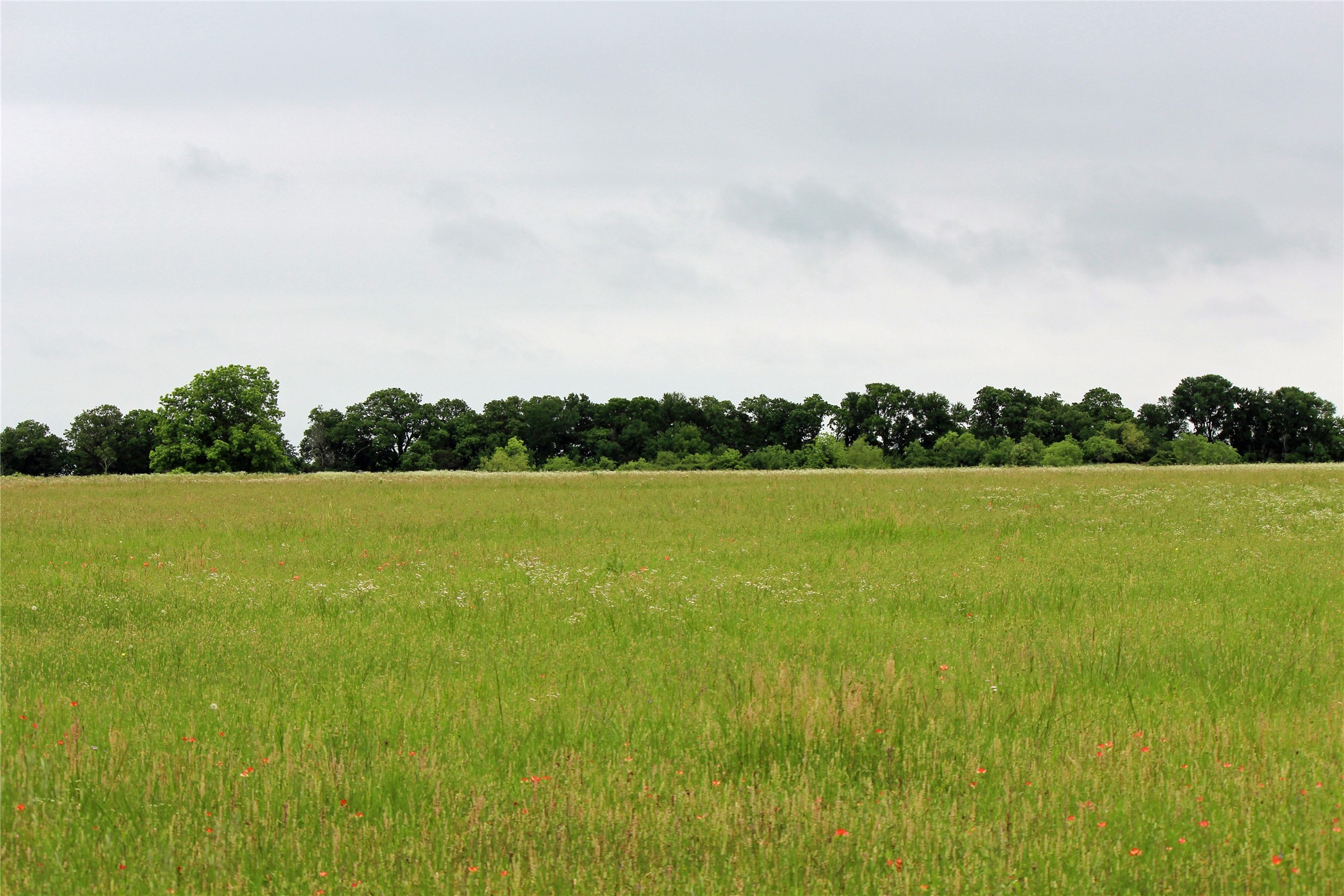 Tbd County Road 1242 Cleburne TX 76033