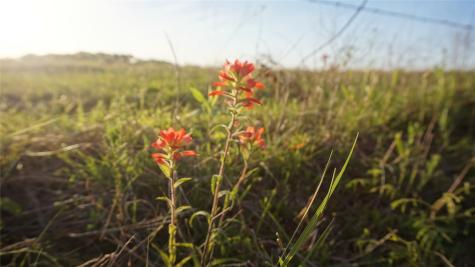 Tbd Lot 3 Adams Road Sherman TX 75090