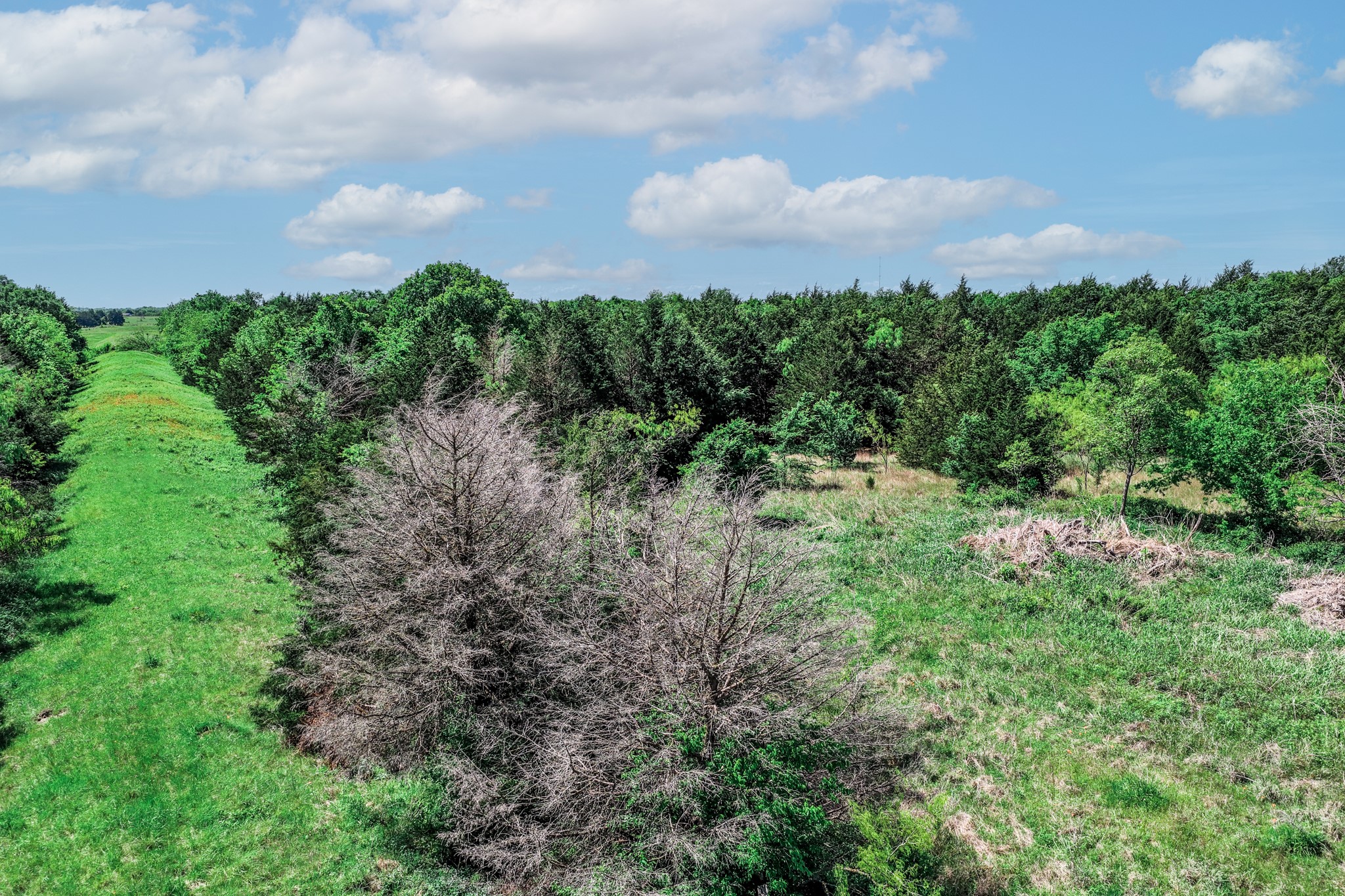 0000 County Road 308 Terrell TX 75160