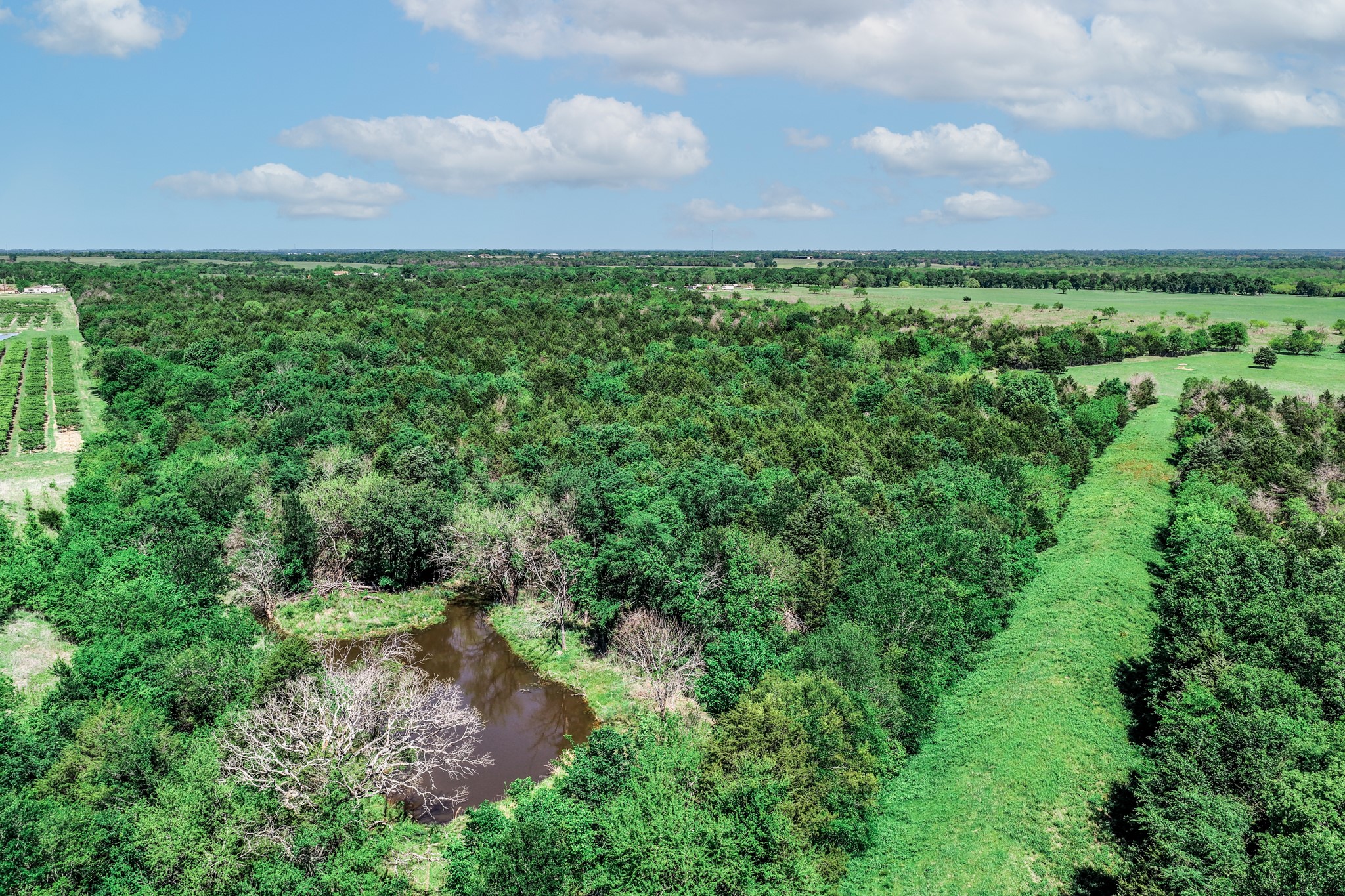 0000 County Road 308 Terrell TX 75160